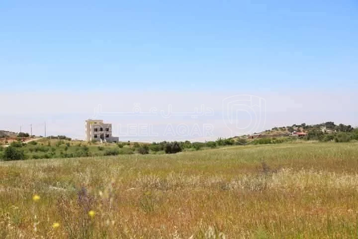 أرض في مادبا - الفيصلية  - 85,000 دأ - صورة 1